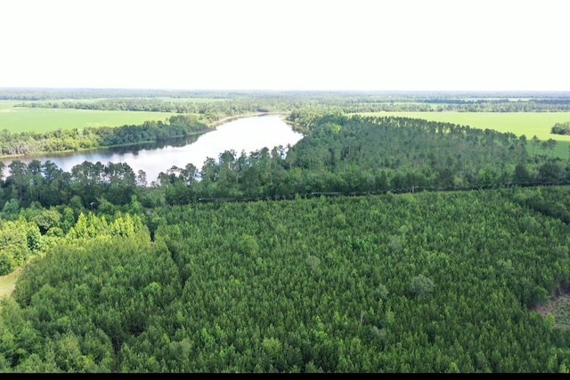 xx Hardaway Highway, Gretna, FL 32332 - photo 1