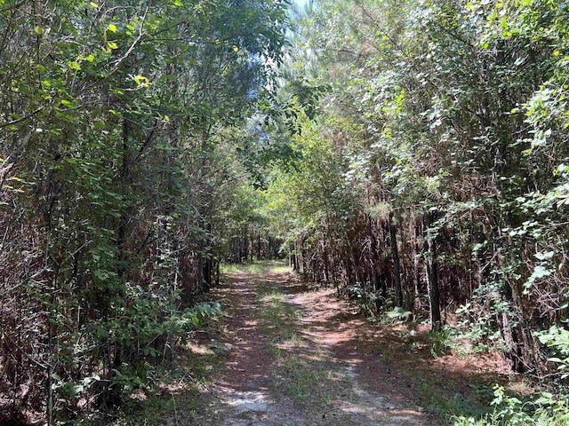 xx Hardaway Highway, Gretna, FL 32332 - photo 12