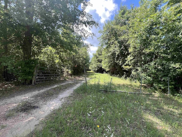 xx Hardaway Highway, Gretna, FL 32332 - photo 2