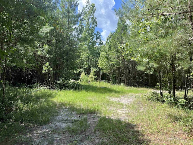 xx Hardaway Highway, Gretna, FL 32332 - photo 5