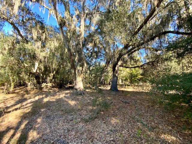 Vacant Ne Bittersweet Trail, Madison FL, 32340 land for sale