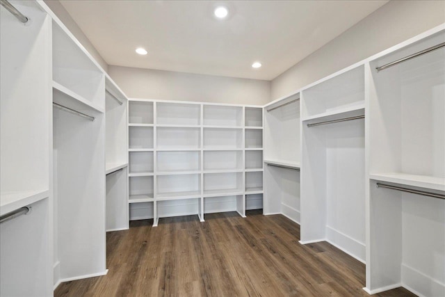 spacious closet with dark wood-type flooring