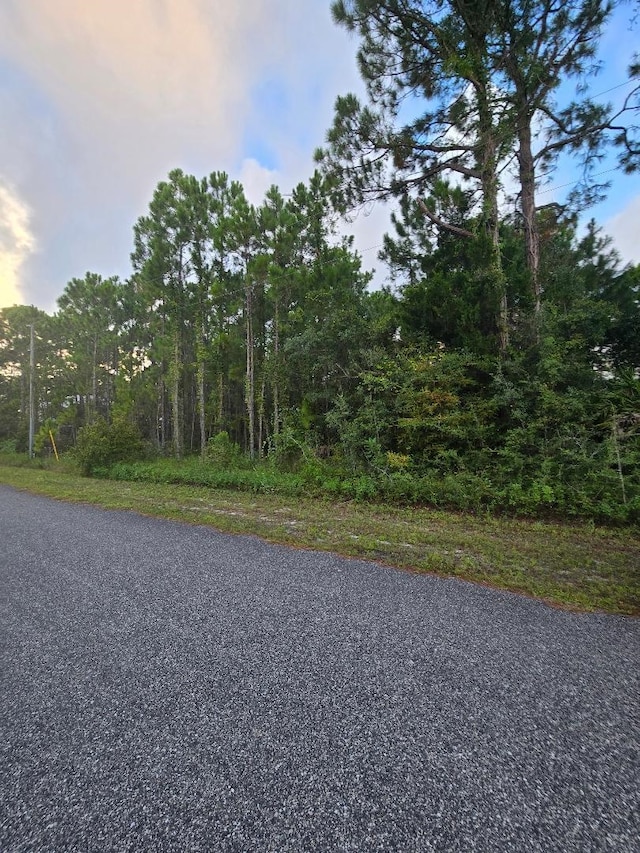 LOT15 Skyhawk Ln, Panacea, FL 32346
