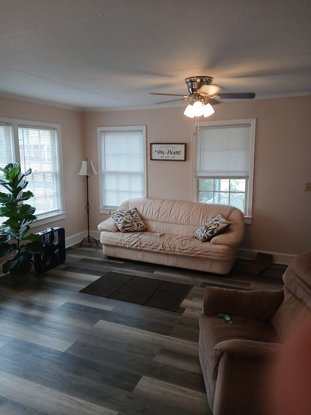 living room featuring ornamental molding, dark wood-type flooring, a wealth of natural light, and ceiling fan