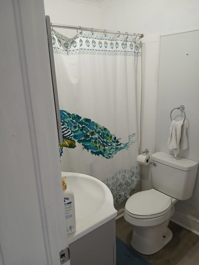 bathroom with hardwood / wood-style flooring, vanity, and toilet