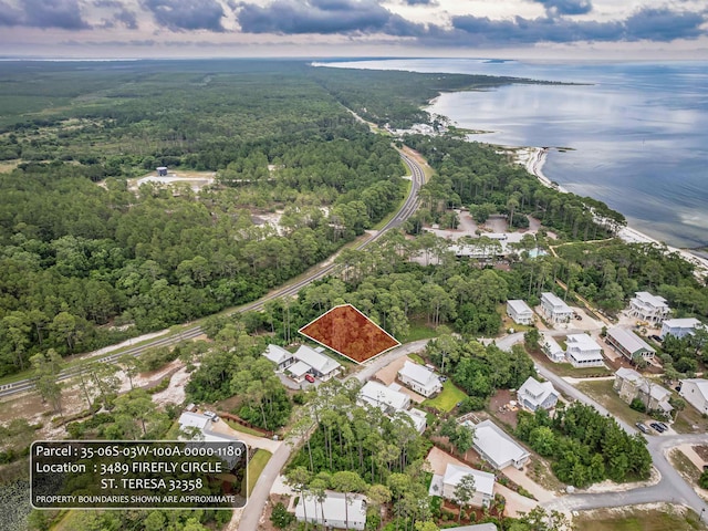 3489 Firefly Cir W Lot 118, Saint Teresa, FL 32358 - photo 1