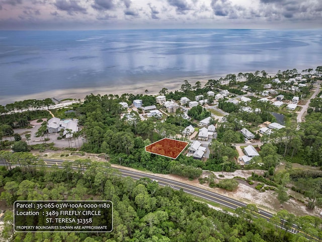 3489 Firefly Cir W Lot 118, Saint Teresa, FL 32358 - photo 13