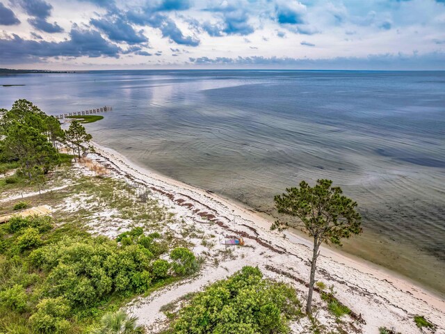 3489 Firefly Cir W Lot 118, Saint Teresa, FL 32358 - photo 34
