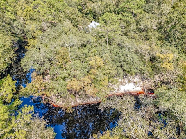 Listing photo 3 for LOT15 Fonigan Rd, Sopchoppy FL 32358