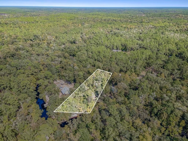 LOT15 Fonigan Rd, Sopchoppy FL, 32358 land for sale