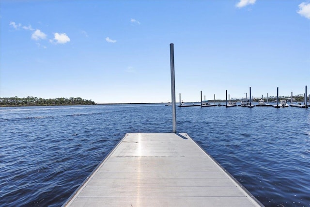 115 Main St, Steinhatchee, FL 32359 - photo 48