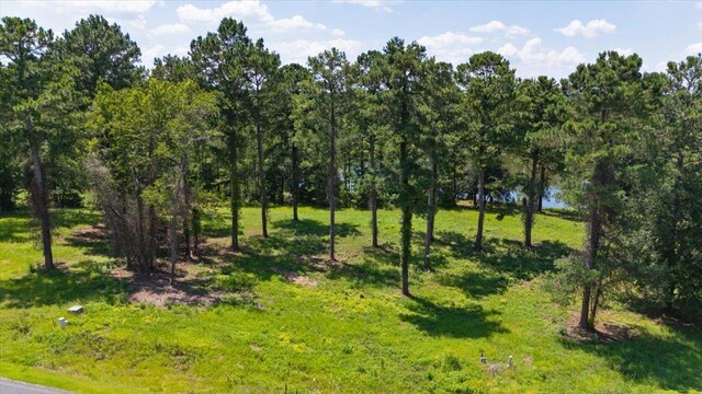 205/225 Stillwater Ln, Gadsden, FL 32333 - photo 9