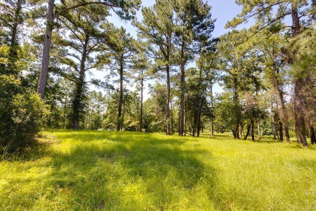 205/225 Stillwater Ln, Gadsden, FL 32333 - photo 4