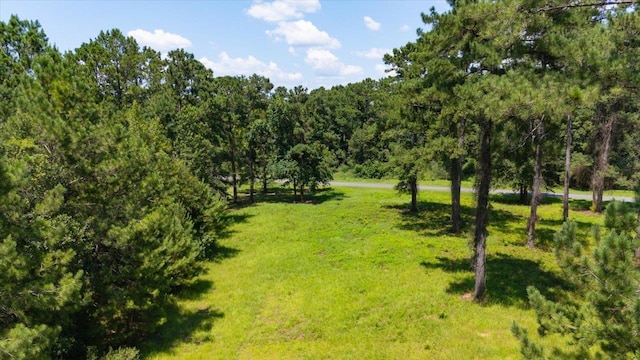 205/225 Stillwater Ln, Gadsden, FL 32333 - photo 7