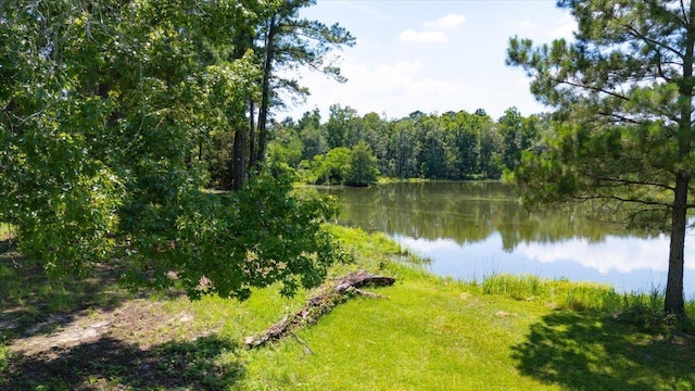 205/225 Stillwater Ln, Gadsden, FL 32333 - photo 15