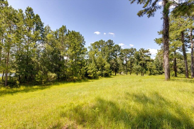 205/225 Stillwater Ln, Gadsden, FL 32333 - photo 6