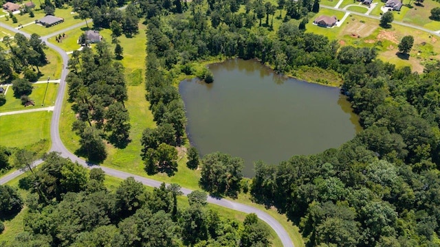 205/225 Stillwater Ln, Gadsden, FL 32333 - photo 23