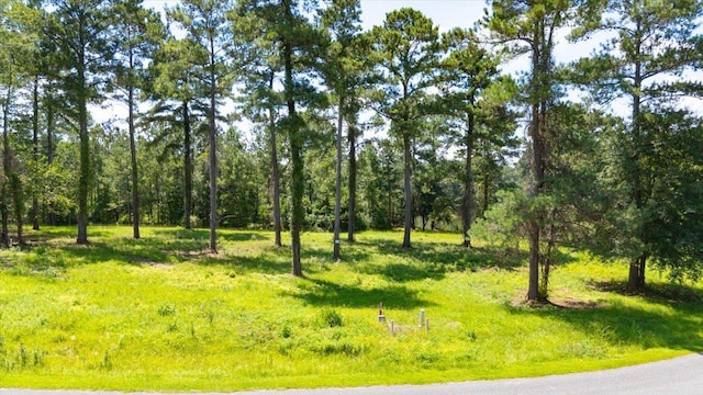 205/225 Stillwater Ln, Gadsden, FL 32333 - photo 2