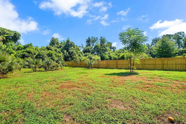 2089 Rankin Ave, Tallahassee, FL 32310 - photo 4