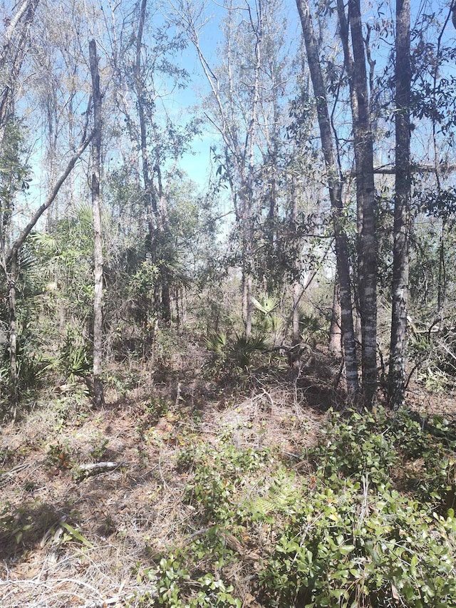 000 Strickland Landing Ct, Perry, FL 32348 - photo 11