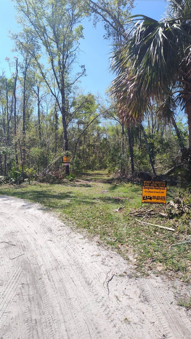 000 Strickland Landing Ct, Perry, FL 32348 - photo 3