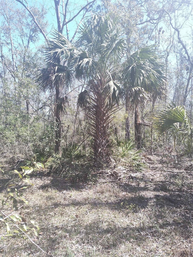 000 Strickland Landing Ct, Perry, FL 32348 - photo 15