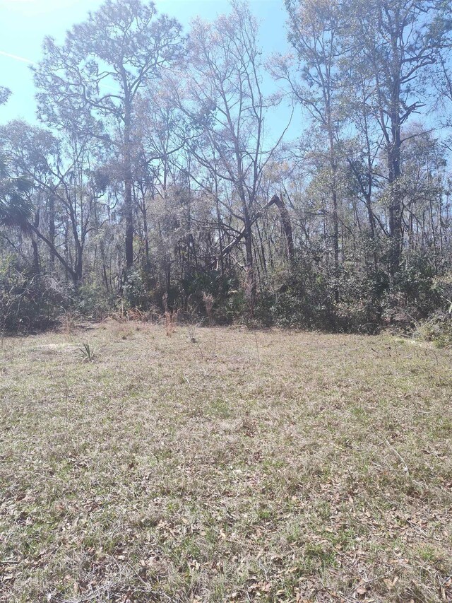 000 Strickland Landing Ct, Perry, FL 32348 - photo 12
