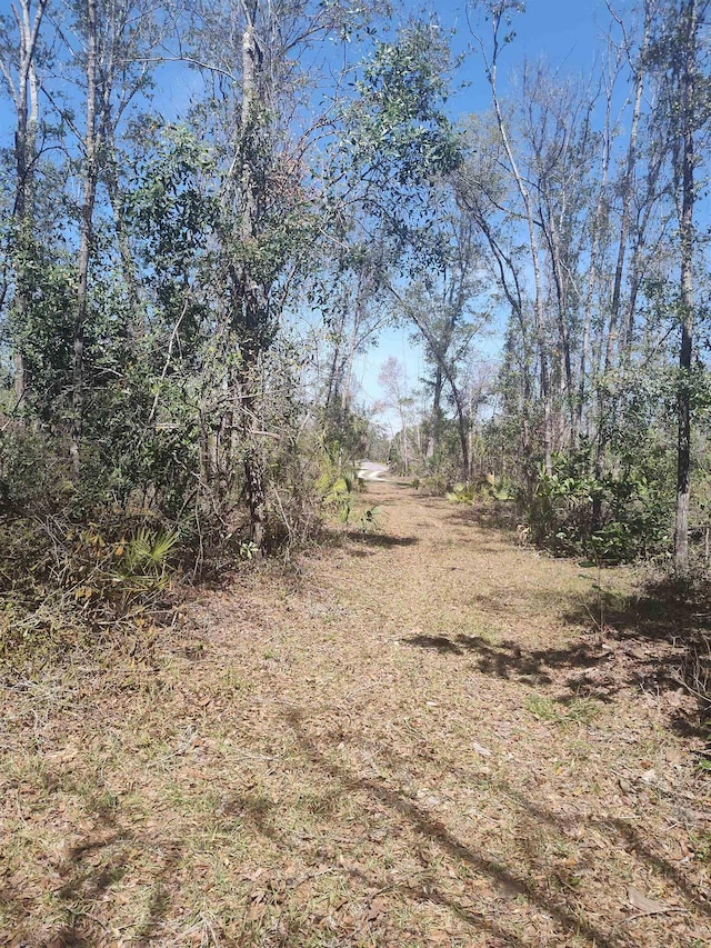 000 Strickland Landing Ct, Perry, FL 32348 - photo 9
