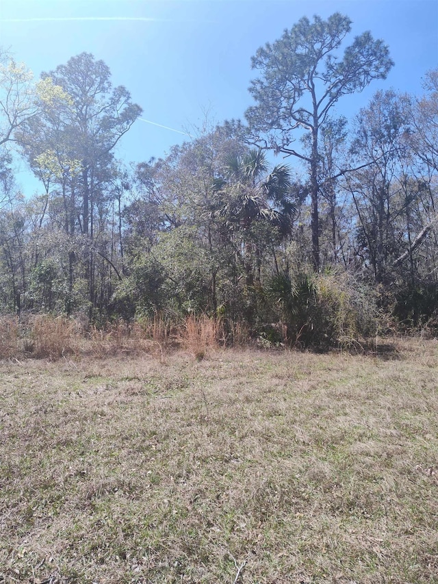 000 Strickland Landing Ct, Perry, FL 32348 - photo 13