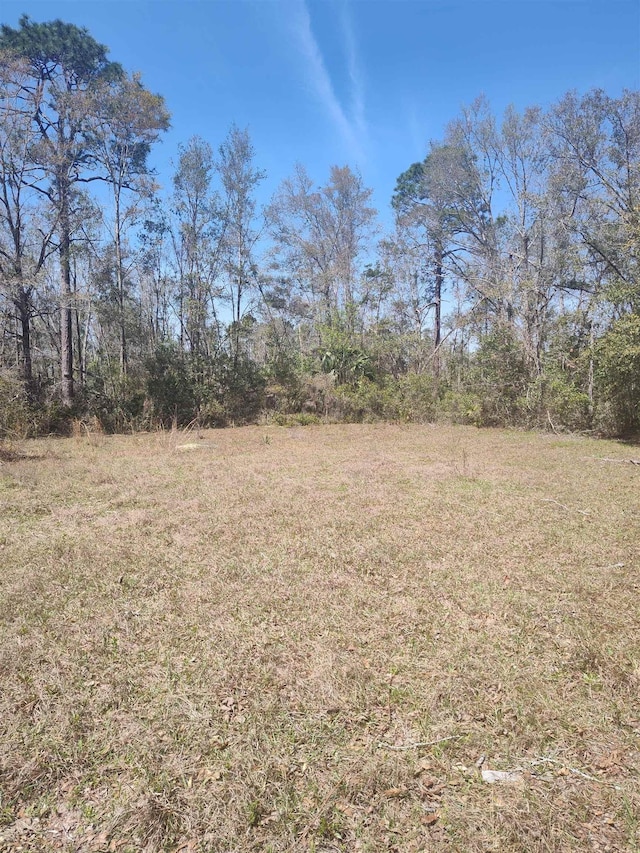000 Strickland Landing Ct, Perry, FL 32348 - photo 16