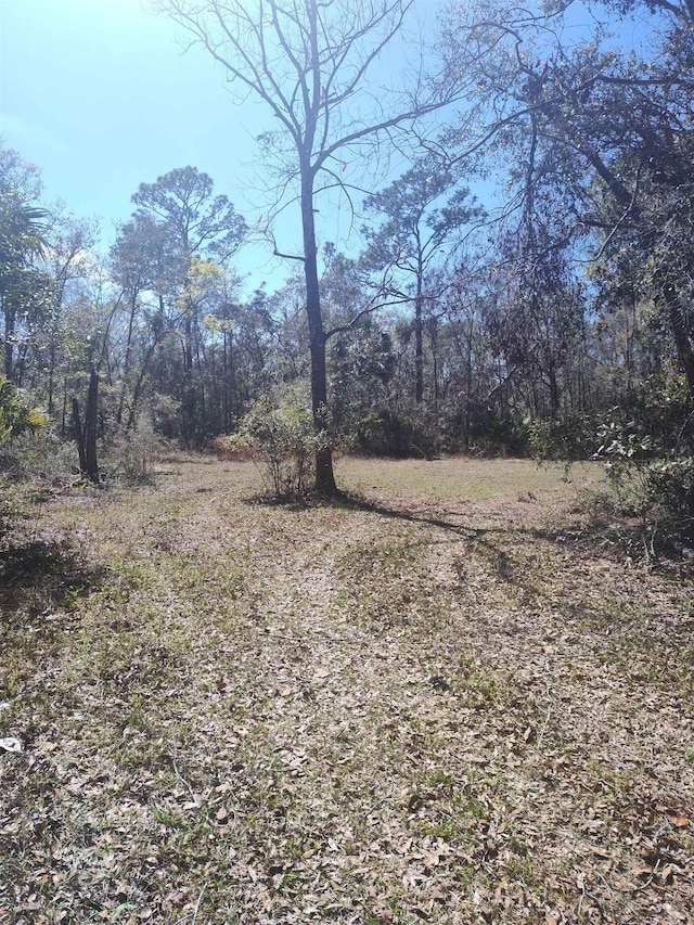 000 Strickland Landing Ct, Perry, FL 32348 - photo 6