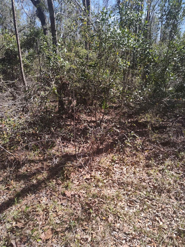 000 Strickland Landing Ct, Perry, FL 32348 - photo 8