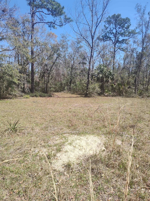 000 Strickland Landing Ct, Perry, FL 32348 - photo 18