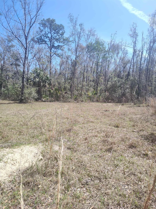 000 Strickland Landing Ct, Perry, FL 32348 - photo 17