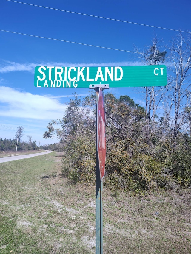 000 Strickland Landing Ct, Perry FL, 32348 land for sale