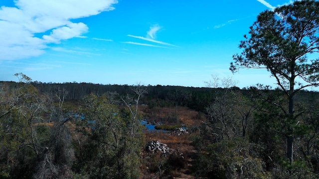 Listing photo 2 for XXX Big Joe Rd, Monticello FL 32344