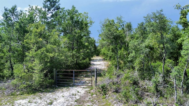 0000 E Royal Oak Dr, Keaton Beach, FL 32348