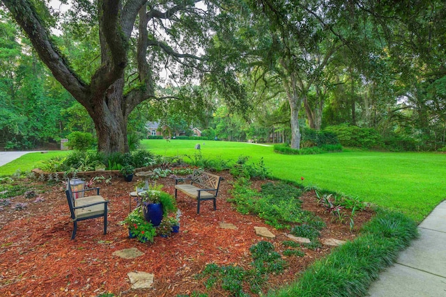 6982 Grenville Rd, Tallahassee, FL 32309 - photo 49