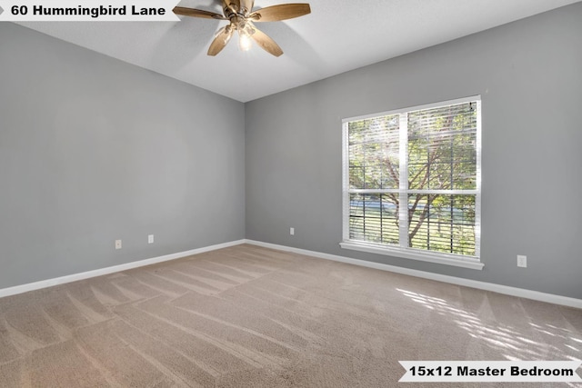 60 Hummingbird Ln, Crawfordville, FL 32327 - photo 16