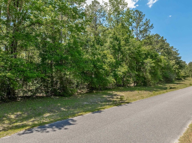 0 Steeplechase Ln, Crawfordville, FL 32327 - photo 7