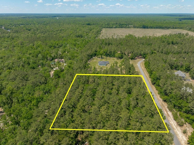 0 Steeplechase Ln, Crawfordville, FL 32327 - photo 2