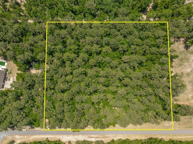 0 Steeplechase Ln, Crawfordville, FL 32327 - photo 4