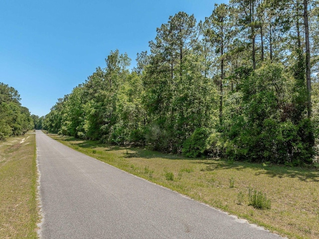 0 Steeplechase Ln, Crawfordville, FL 32327 - photo 6