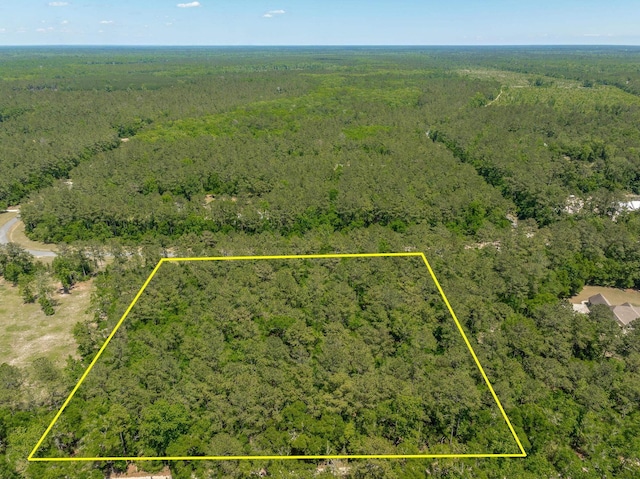 0 Steeplechase Ln, Crawfordville, FL 32327 - photo 5