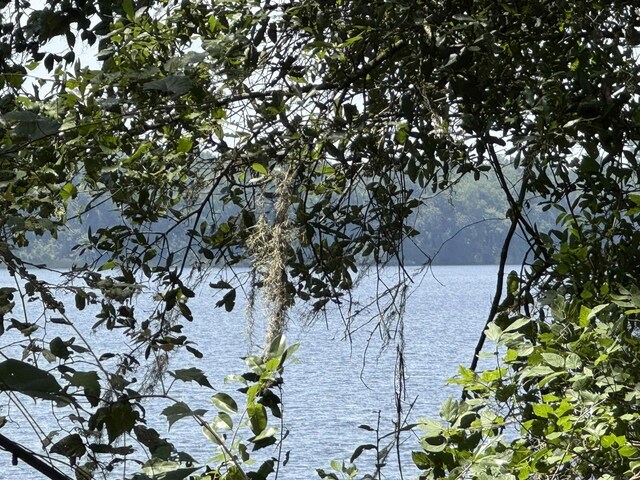 00 Parramore Shores Rd, Tallahassee, FL 32310 - photo 15