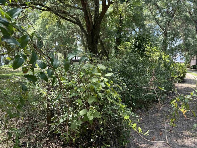 00 Parramore Shores Rd, Tallahassee, FL 32310 - photo 26