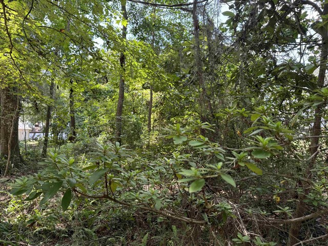 00 Parramore Shores Rd, Tallahassee, FL 32310 - photo 16