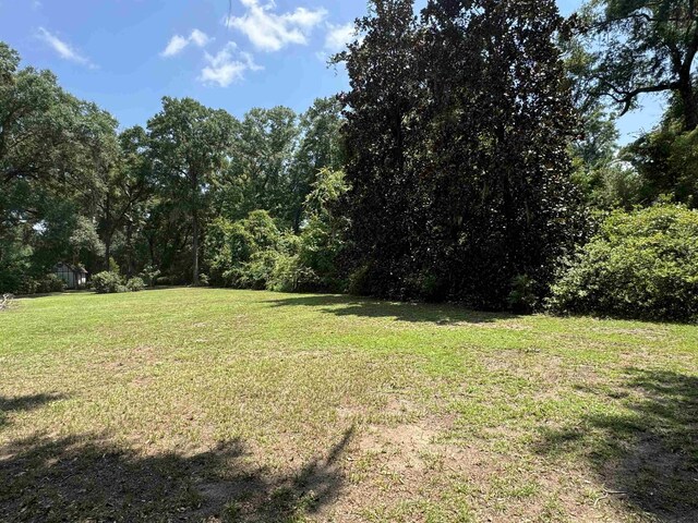00 Parramore Shores Rd, Tallahassee, FL 32310 - photo 13