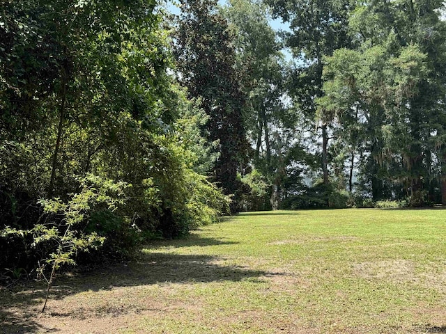 00 Parramore Shores Rd, Tallahassee, FL 32310 - photo 10