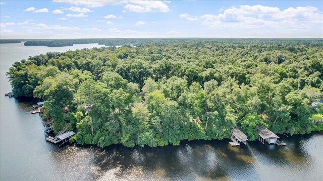 00 Parramore Shores Rd, Tallahassee, FL 32310 - photo 17